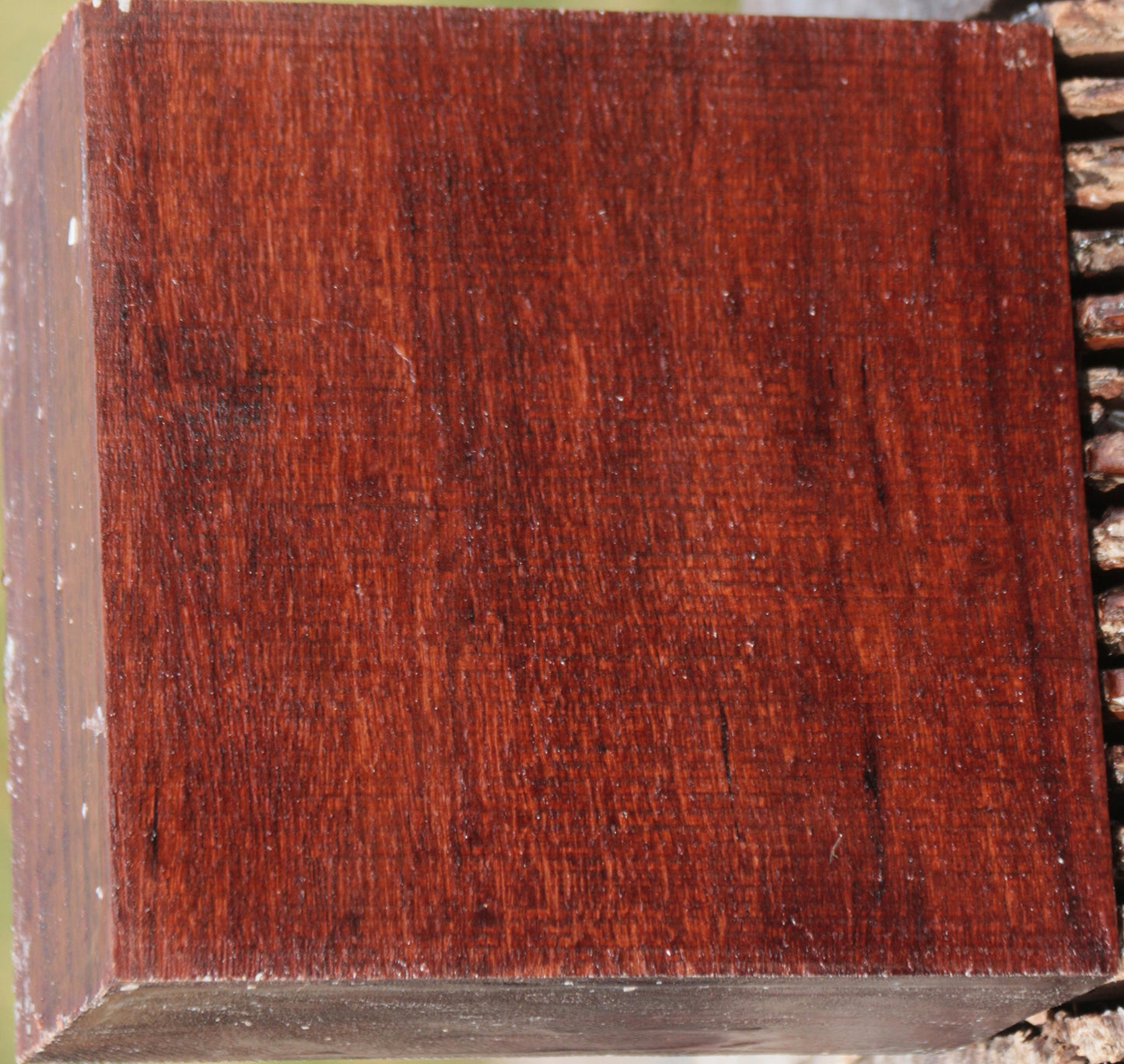 Granadillo Bowl Blank