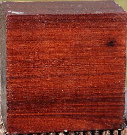 Granadillo Bowl Blank