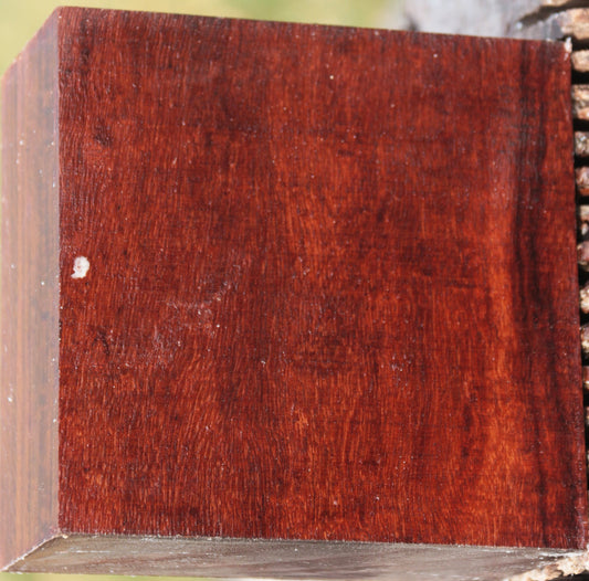 Granadillo Bowl Blank