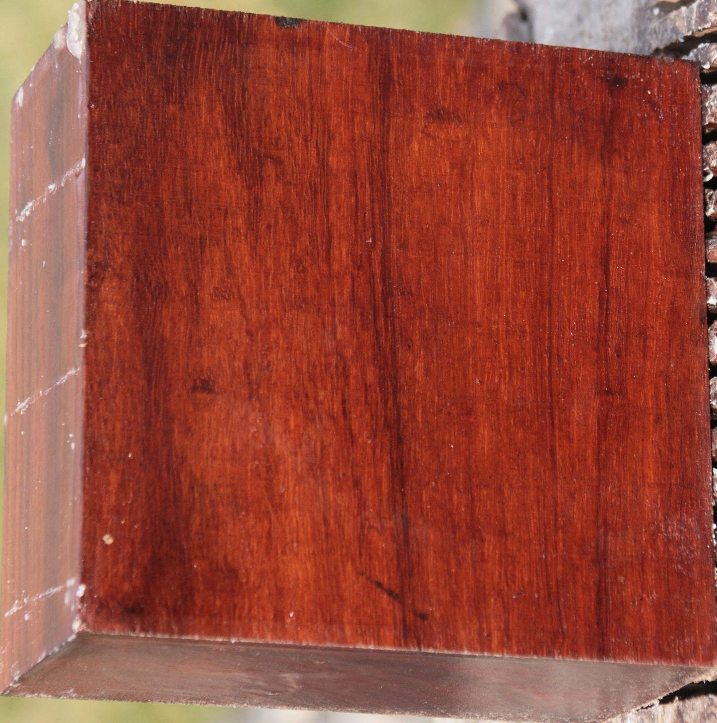 Granadillo Bowl Blank