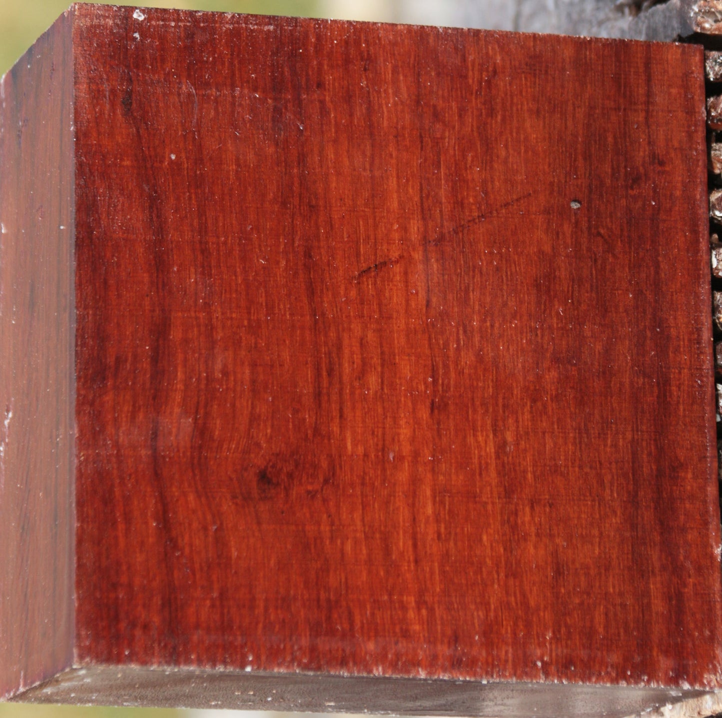 Granadillo Bowl Blank