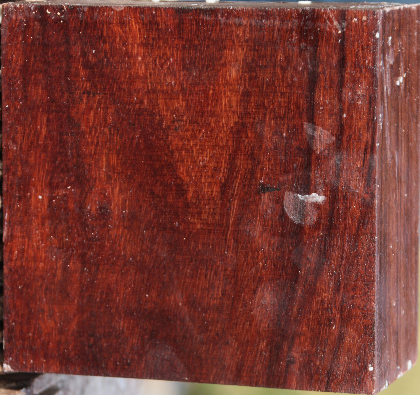 Granadillo Bowl Blank