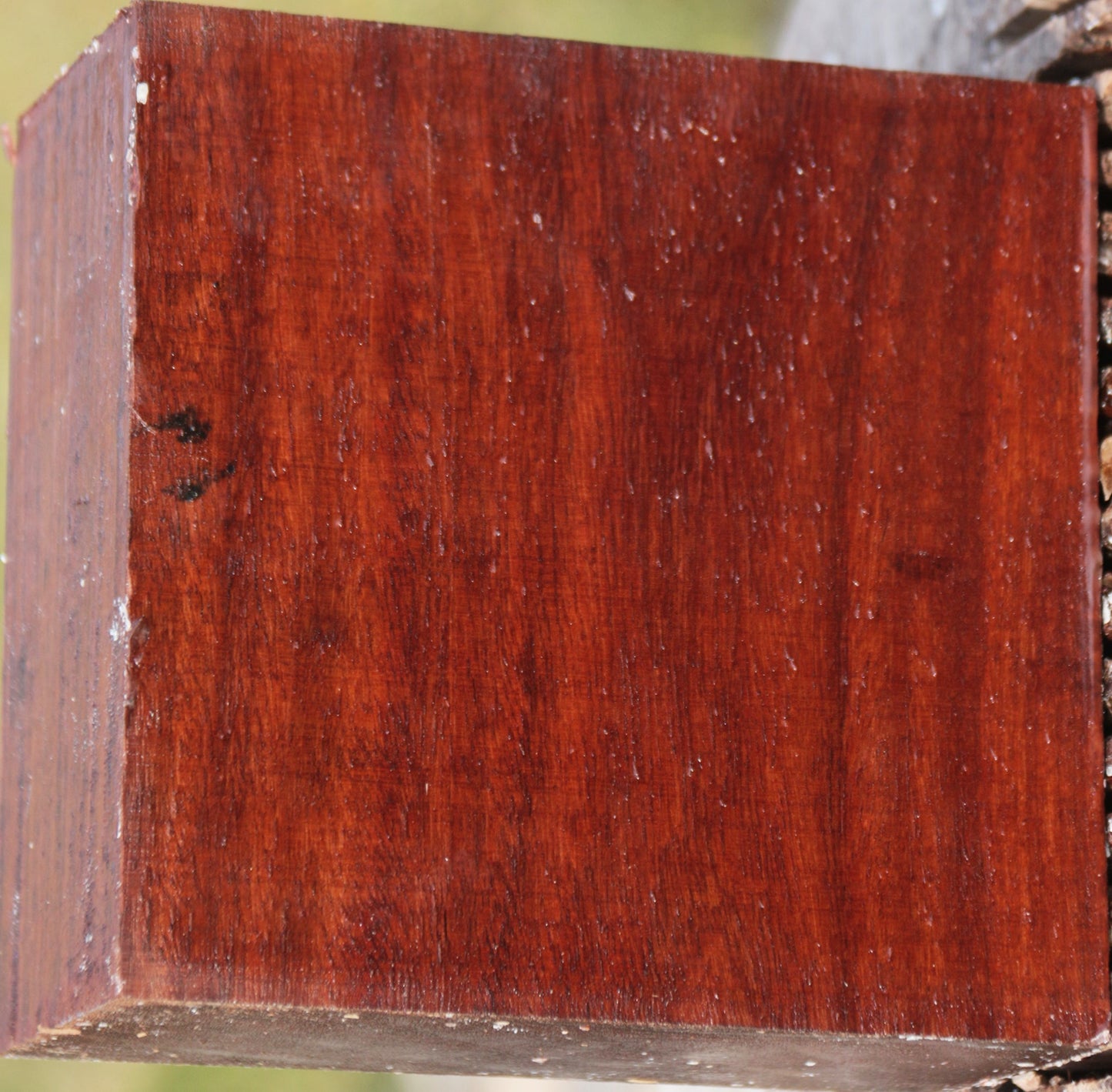 Granadillo Bowl Blank