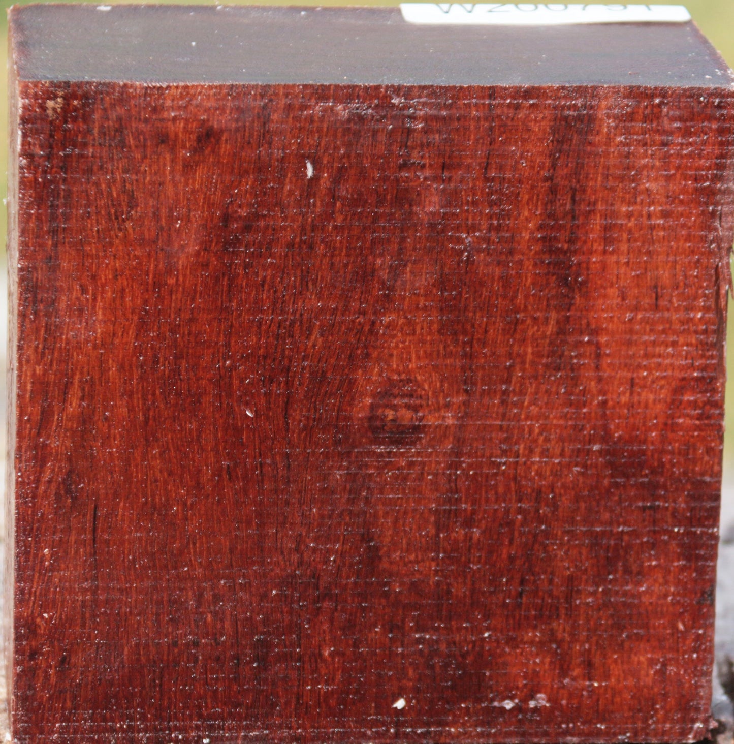 Granadillo Bowl Blank