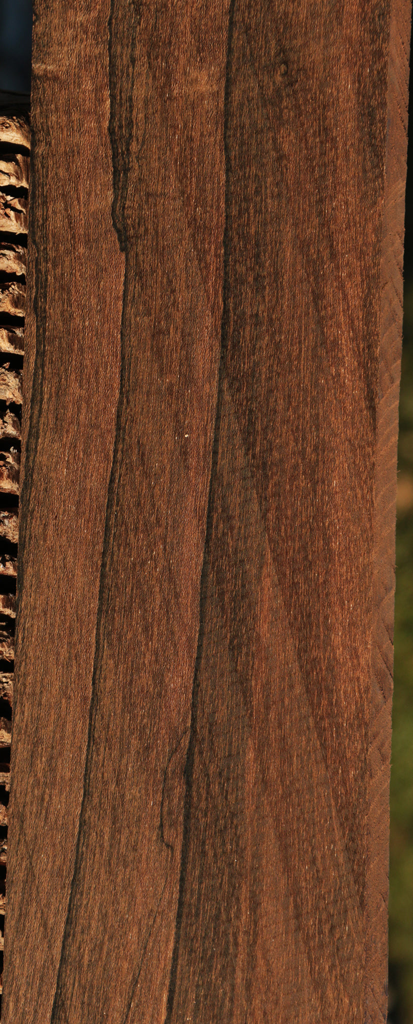 Ziricote Lumber