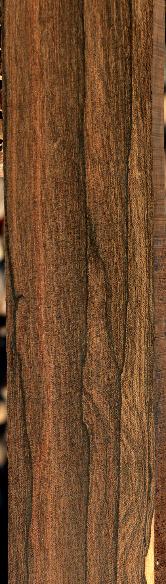 Ziricote Instrument Lumber