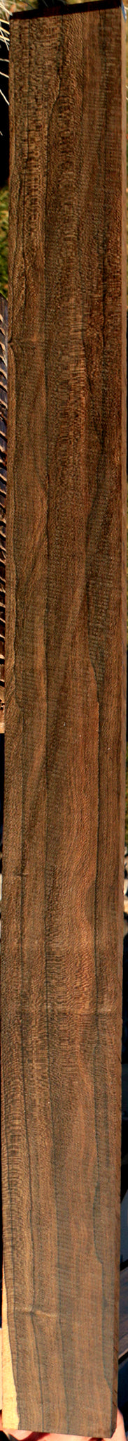 Ziricote Instrument Lumber