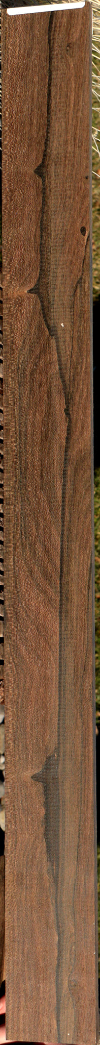 Ziricote Micro Lumber