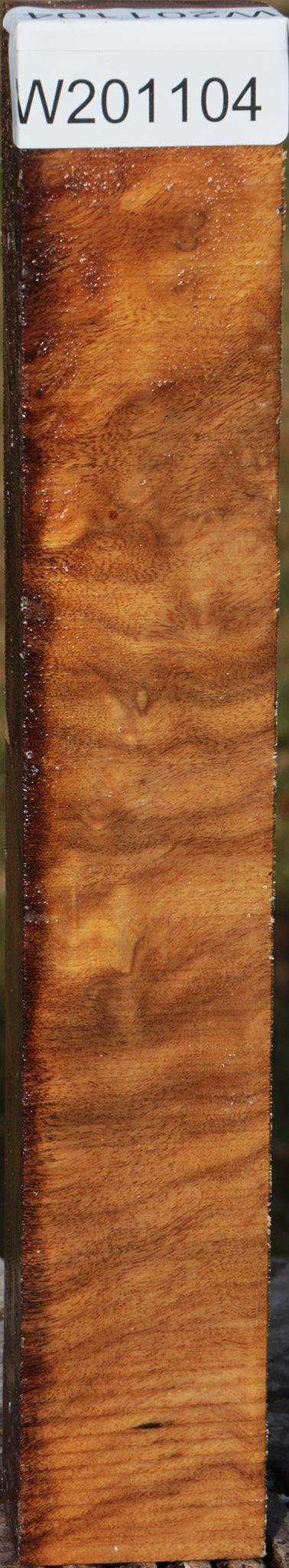 Camphor Burl Turning Blank