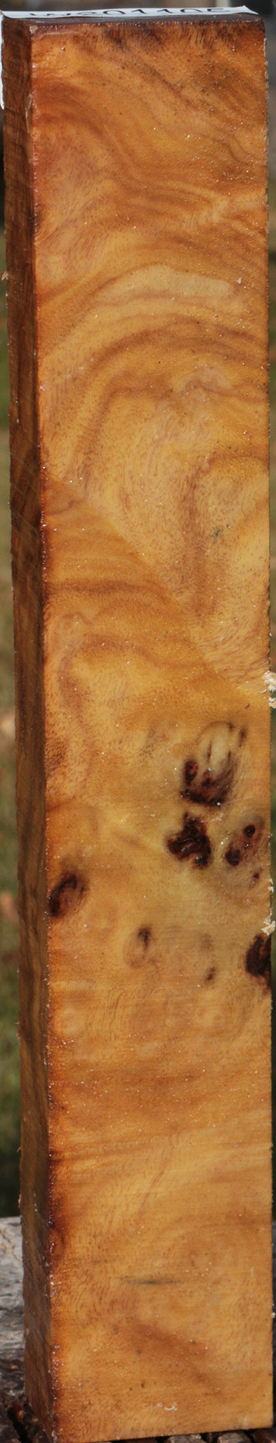 Camphor Burl Turning Blank