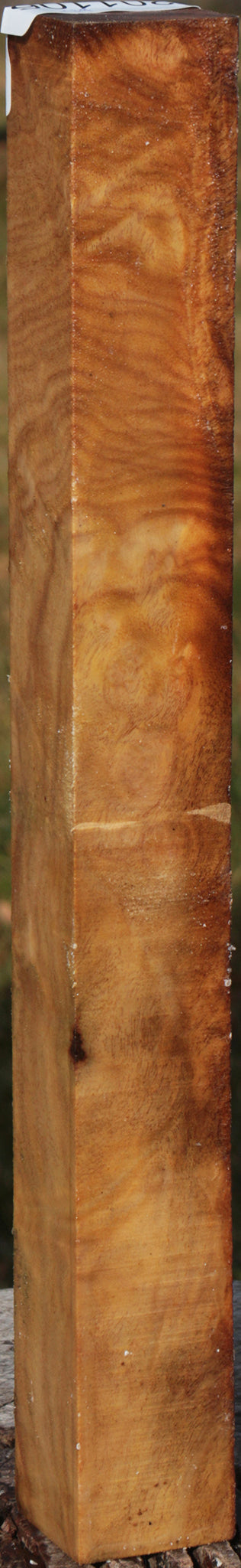 Camphor Burl Turning Square