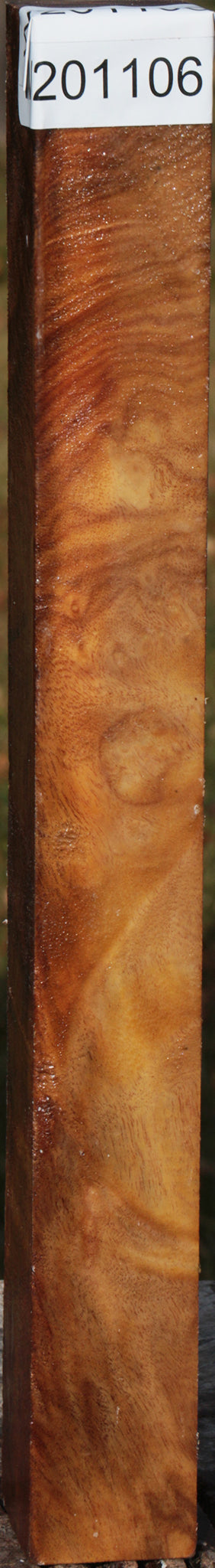 Camphor Burl Turning Square
