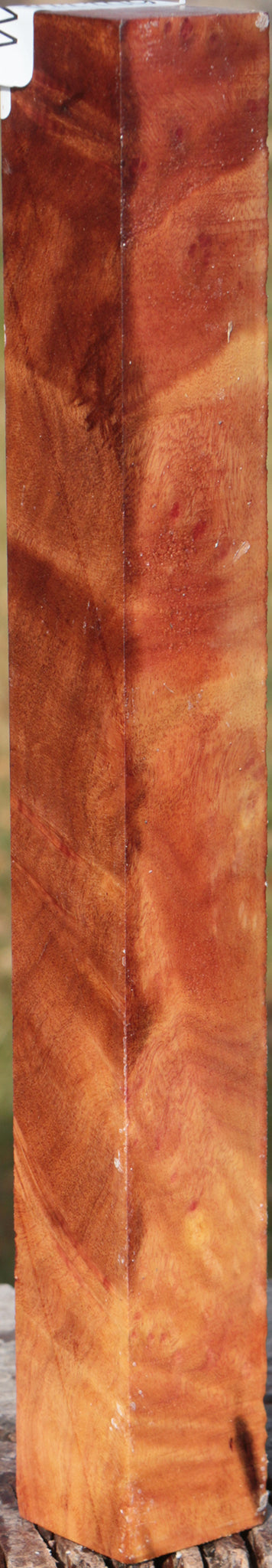Camphor Burl Turning Square