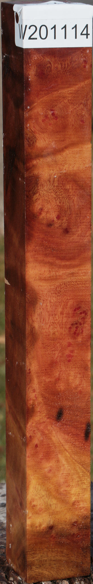 Camphor Burl Turning Square