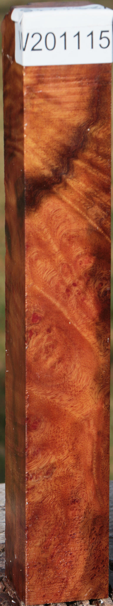 Camphor Burl Turning Square