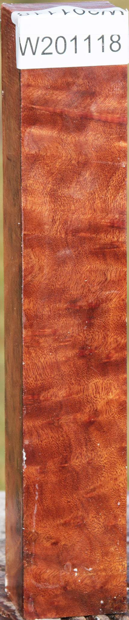 Camphor Burl Turning Blank