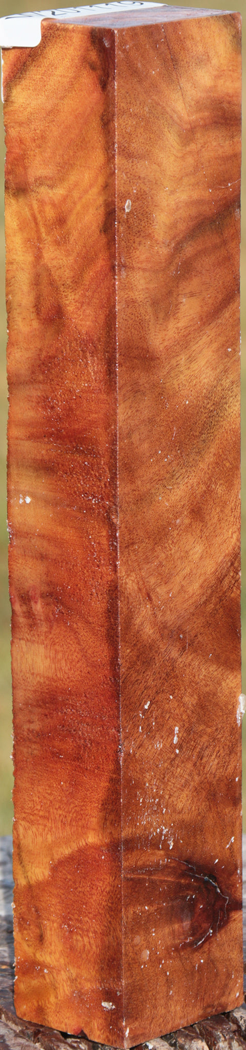 Camphor Burl Turning Blank