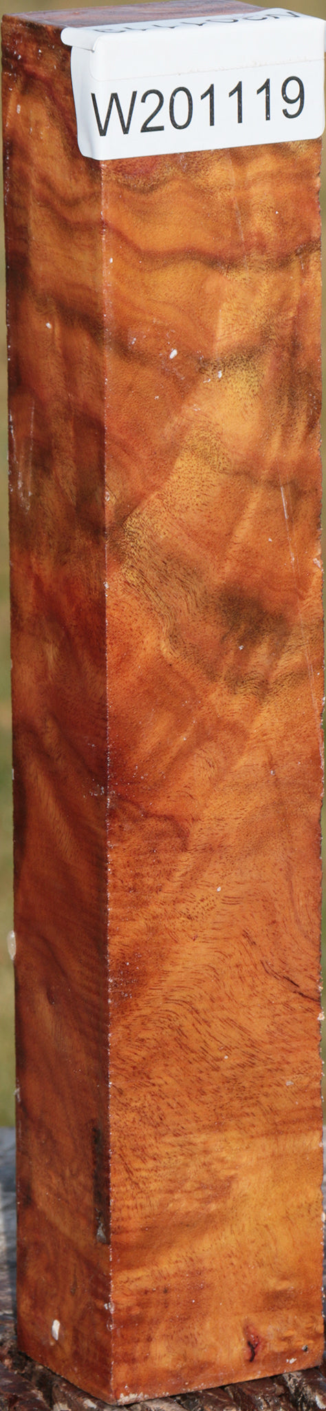 Camphor Burl Turning Blank