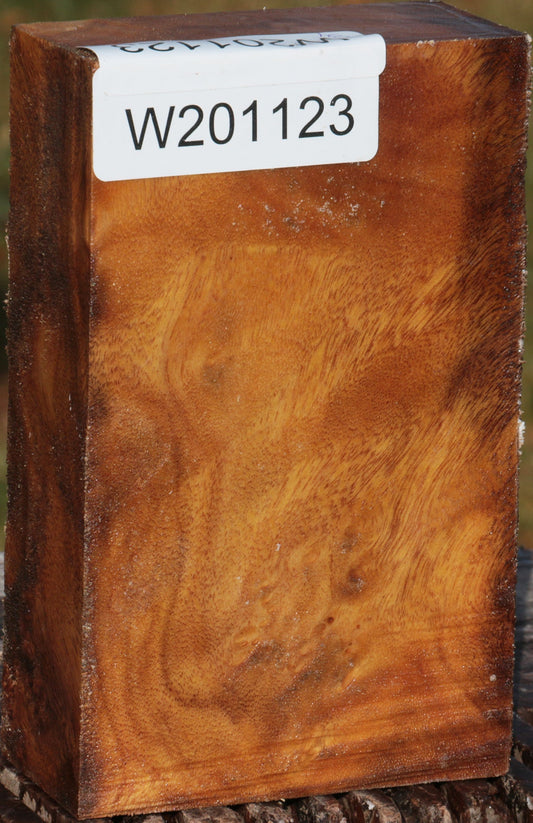 Camphor Burl Turning Blank