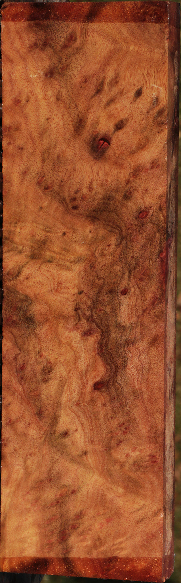 Camphor Burl Lumber
