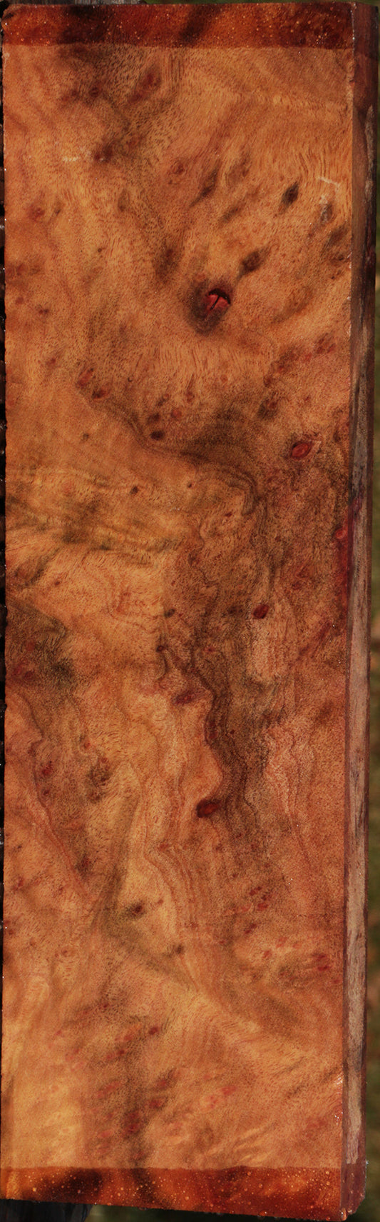 Camphor Burl Lumber