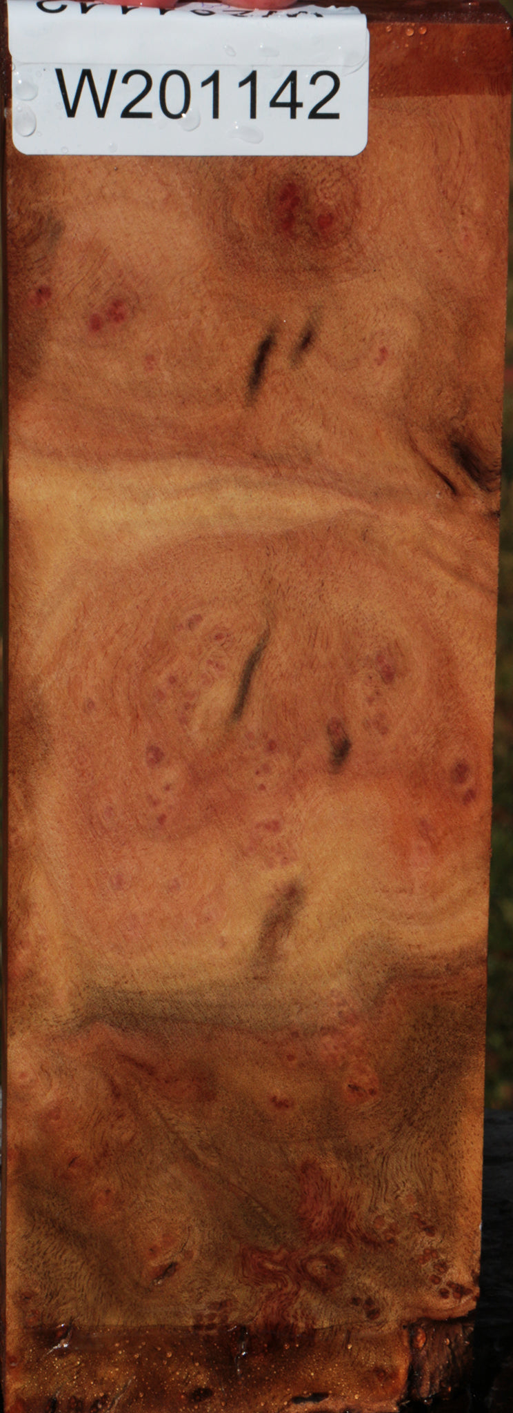 Camphor Burl Lumber