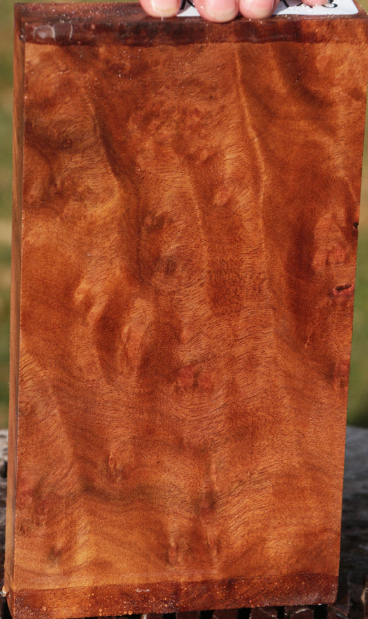 Camphor Burl Lumber