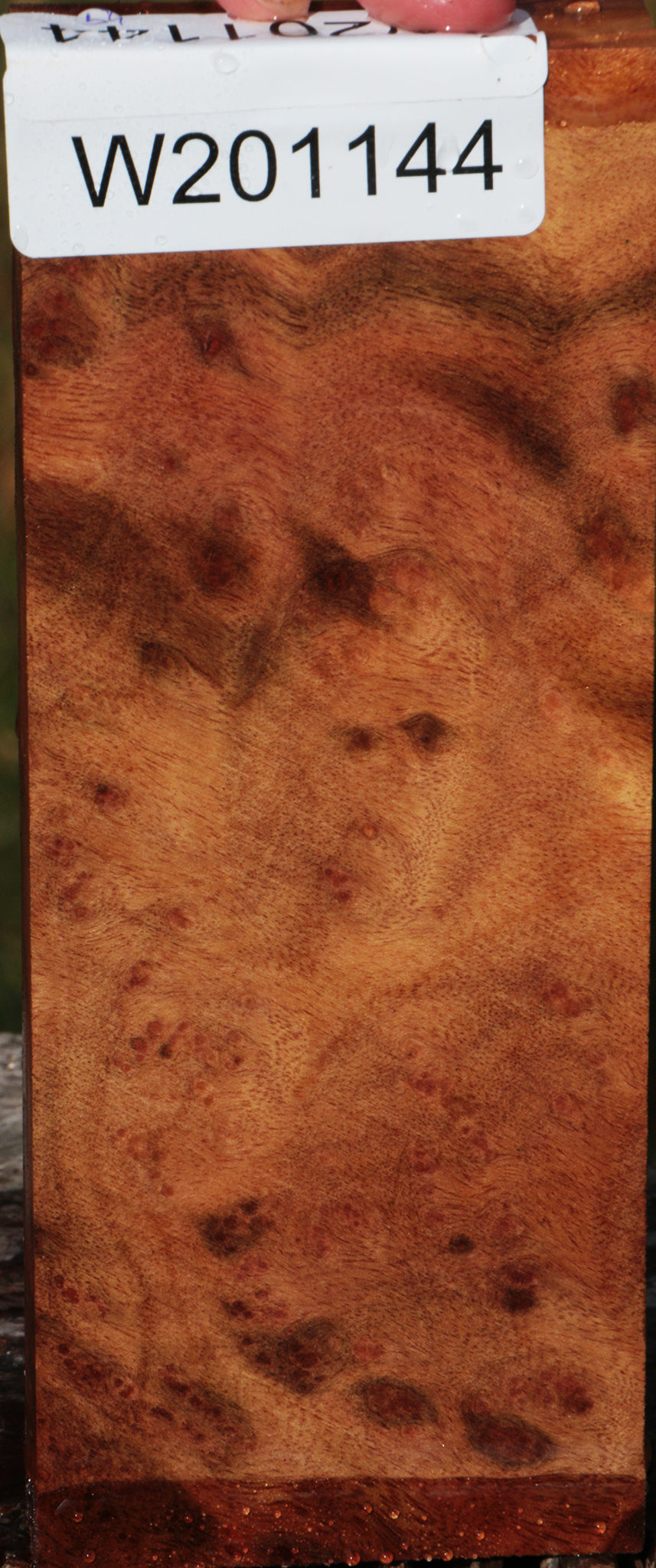 Camphor Burl Lumber