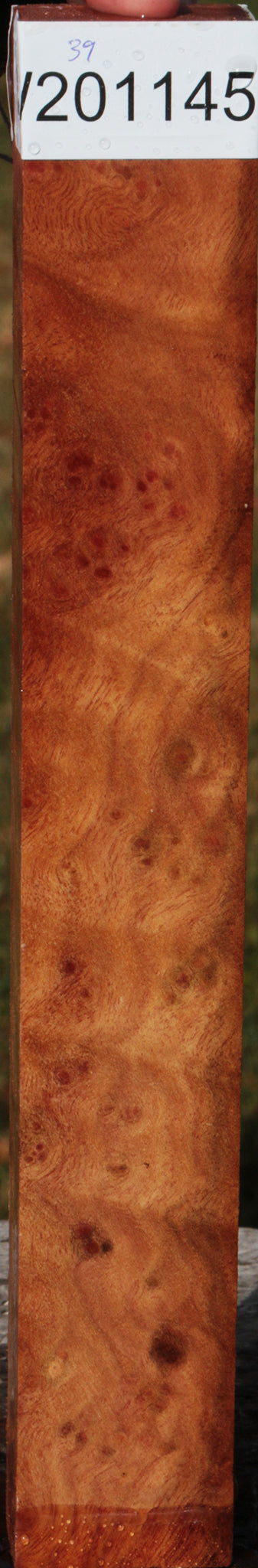 Camphor Burl Lumber