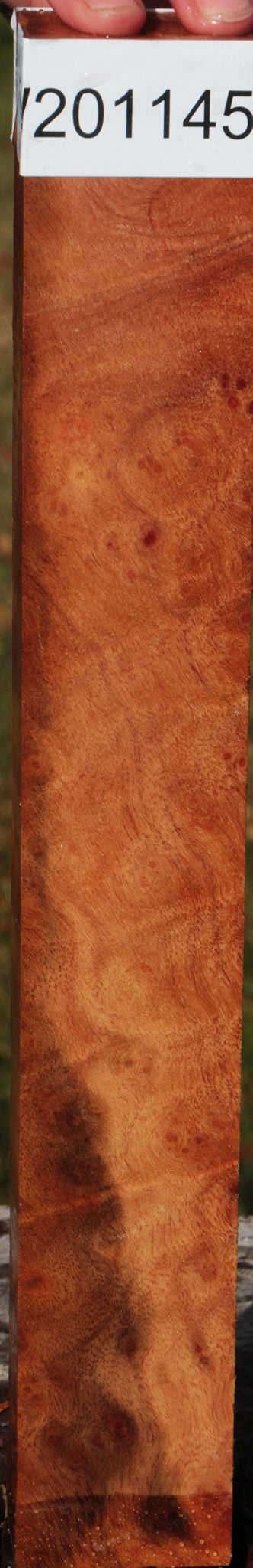 Camphor Burl Lumber