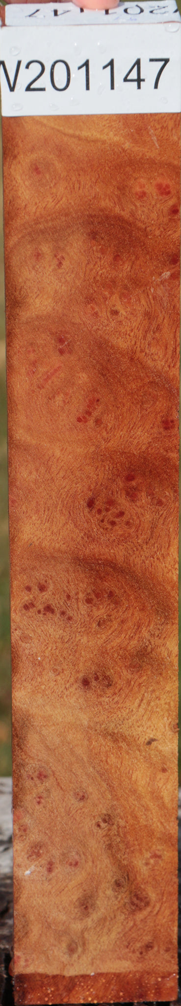 Camphor Burl Lumber