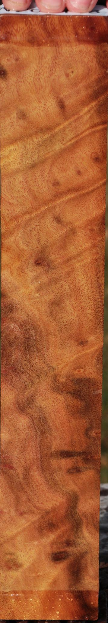 Camphor Burl Lumber