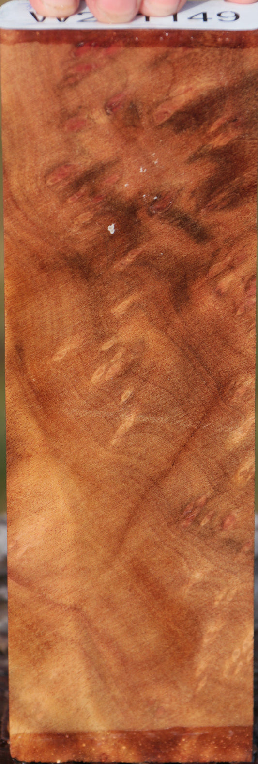 Camphor Burl Lumber