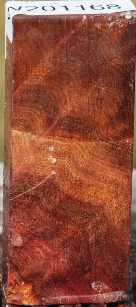 Camphor Burl Lumber