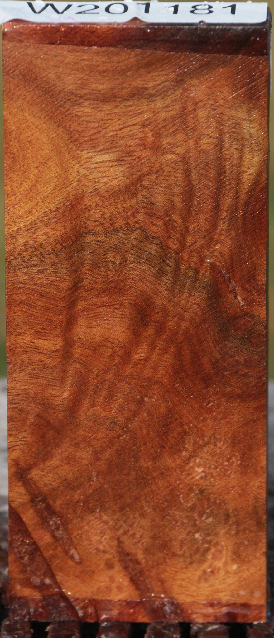 Camphor Burl Lumber