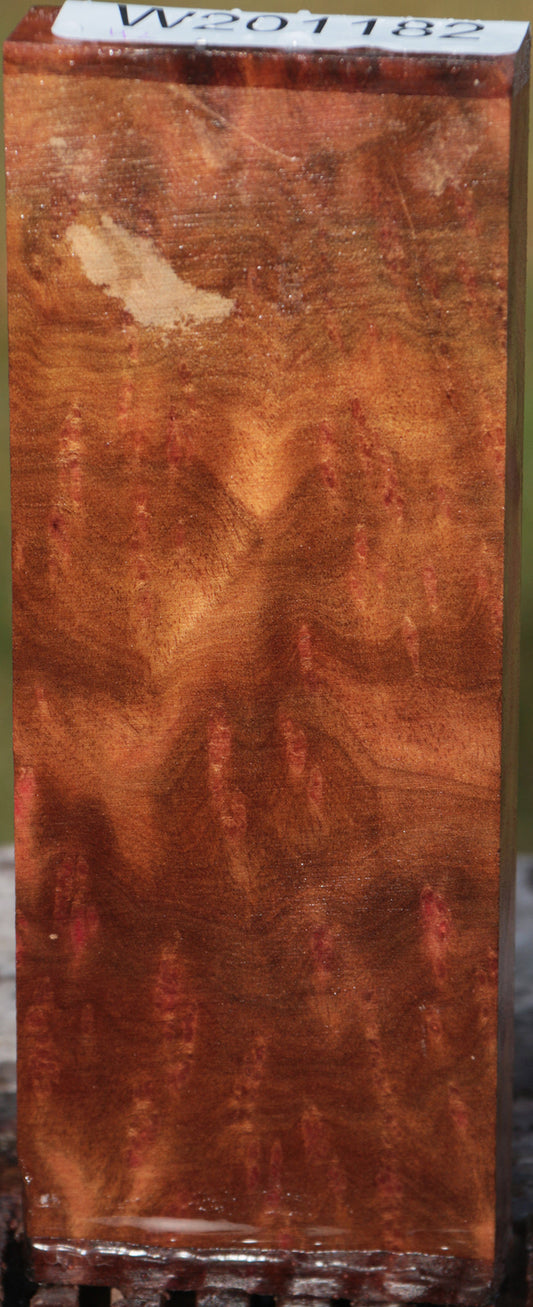 Camphor Burl Lumber