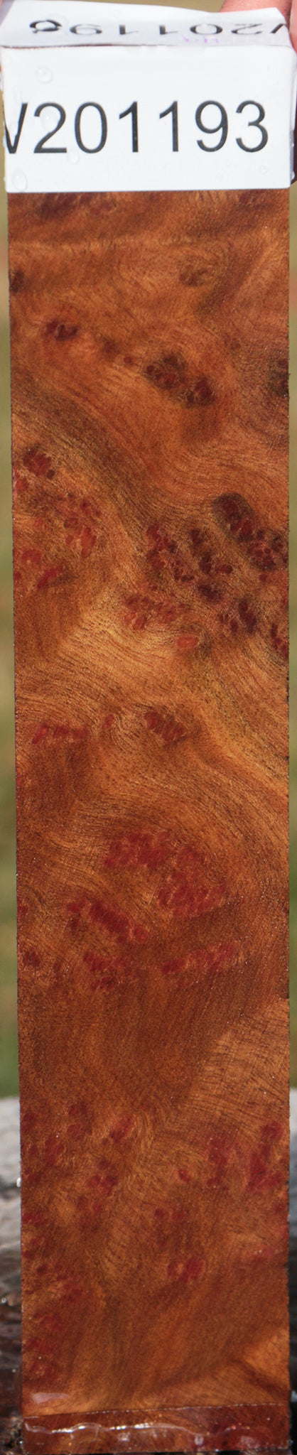 Camphor Burl Lumber