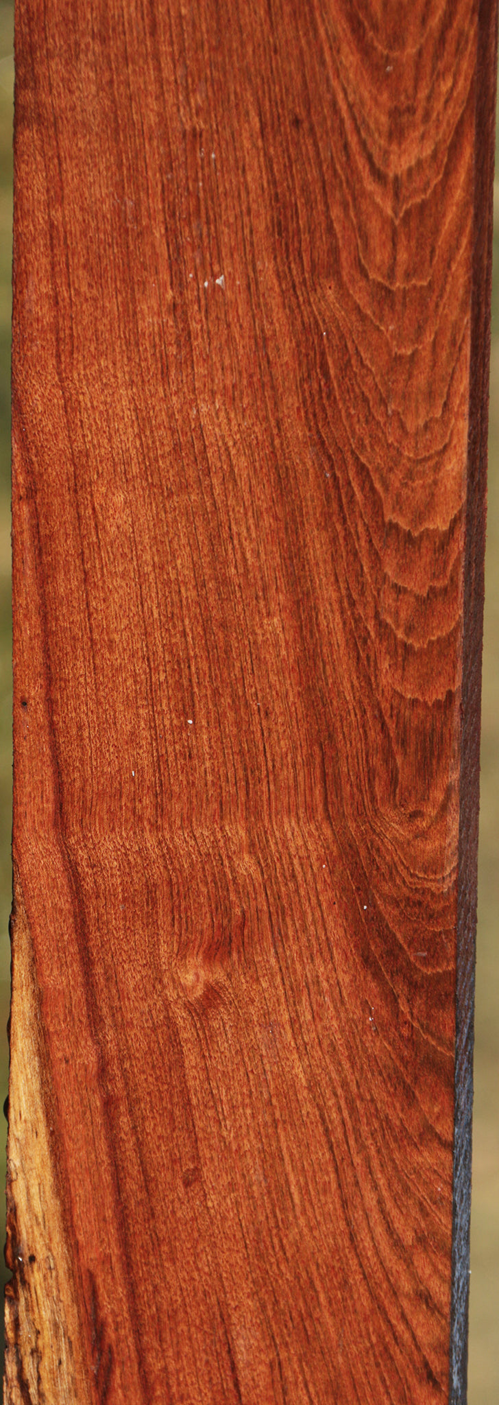 Chechen Lumber