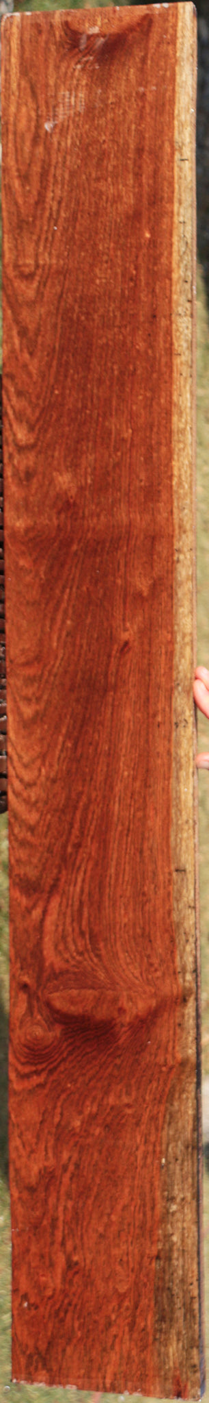 Chechen Lumber