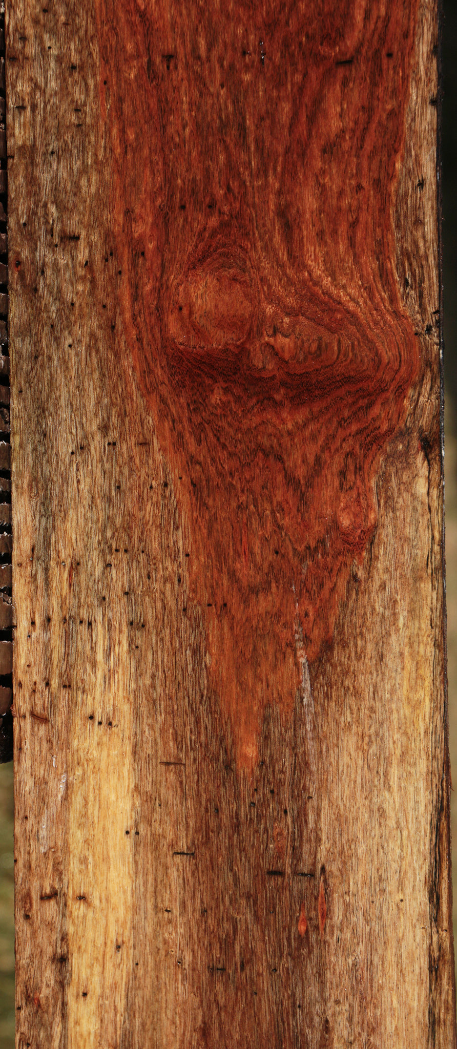 Chechen Lumber