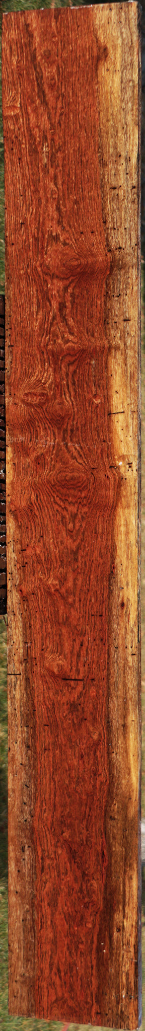 Chechen Lumber