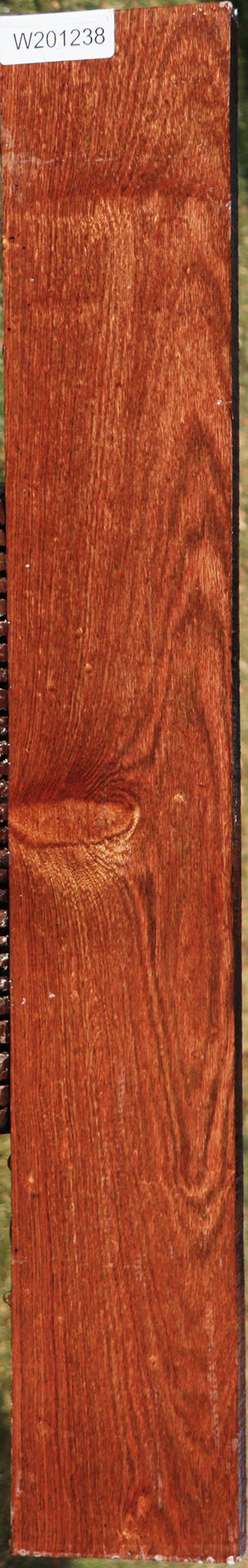 Chechen Lumber