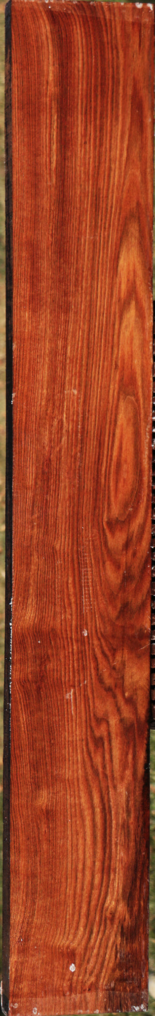 Chechen Lumber
