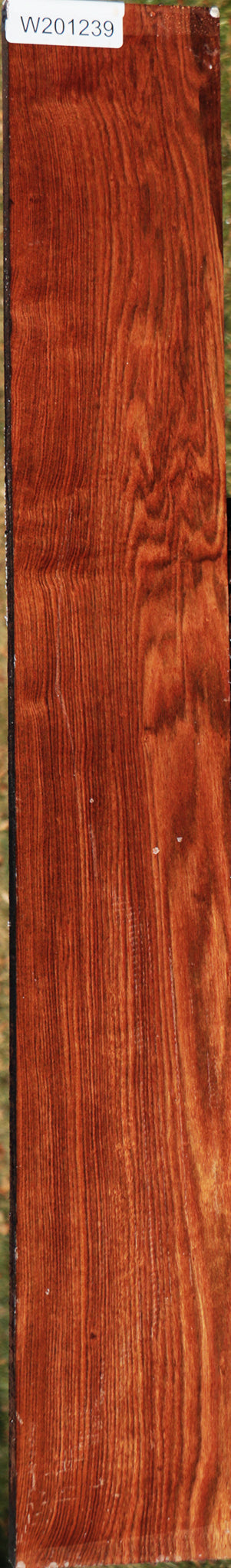Chechen Lumber