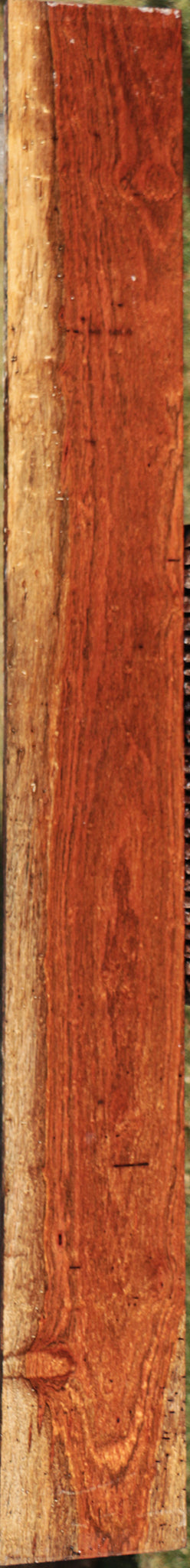 Chechen Lumber