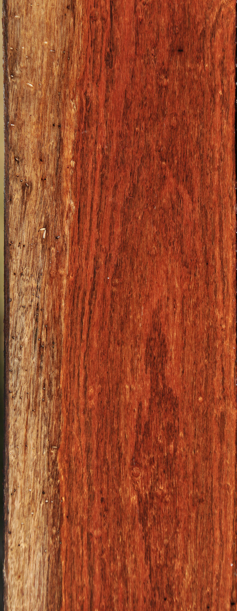 Chechen Lumber