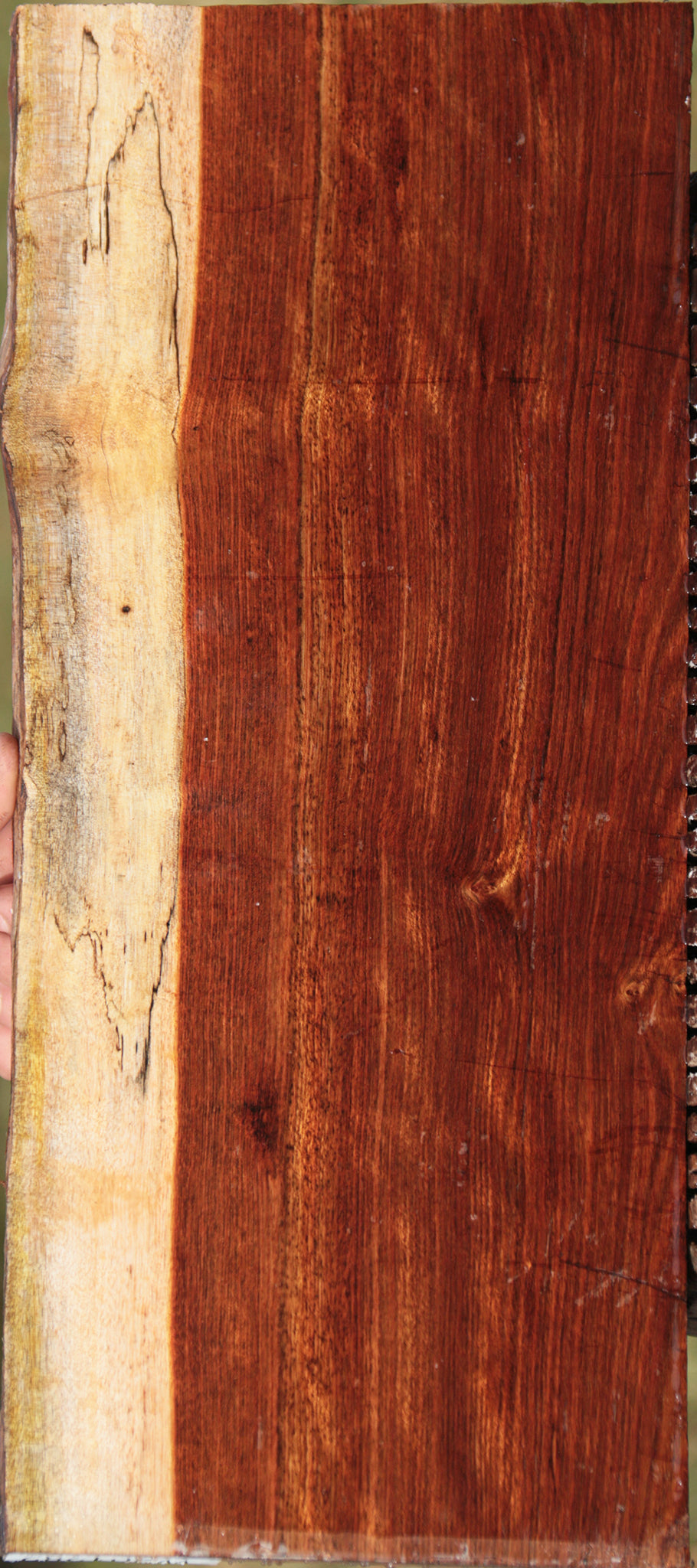 Spalted Chechen Live Edge Lumber