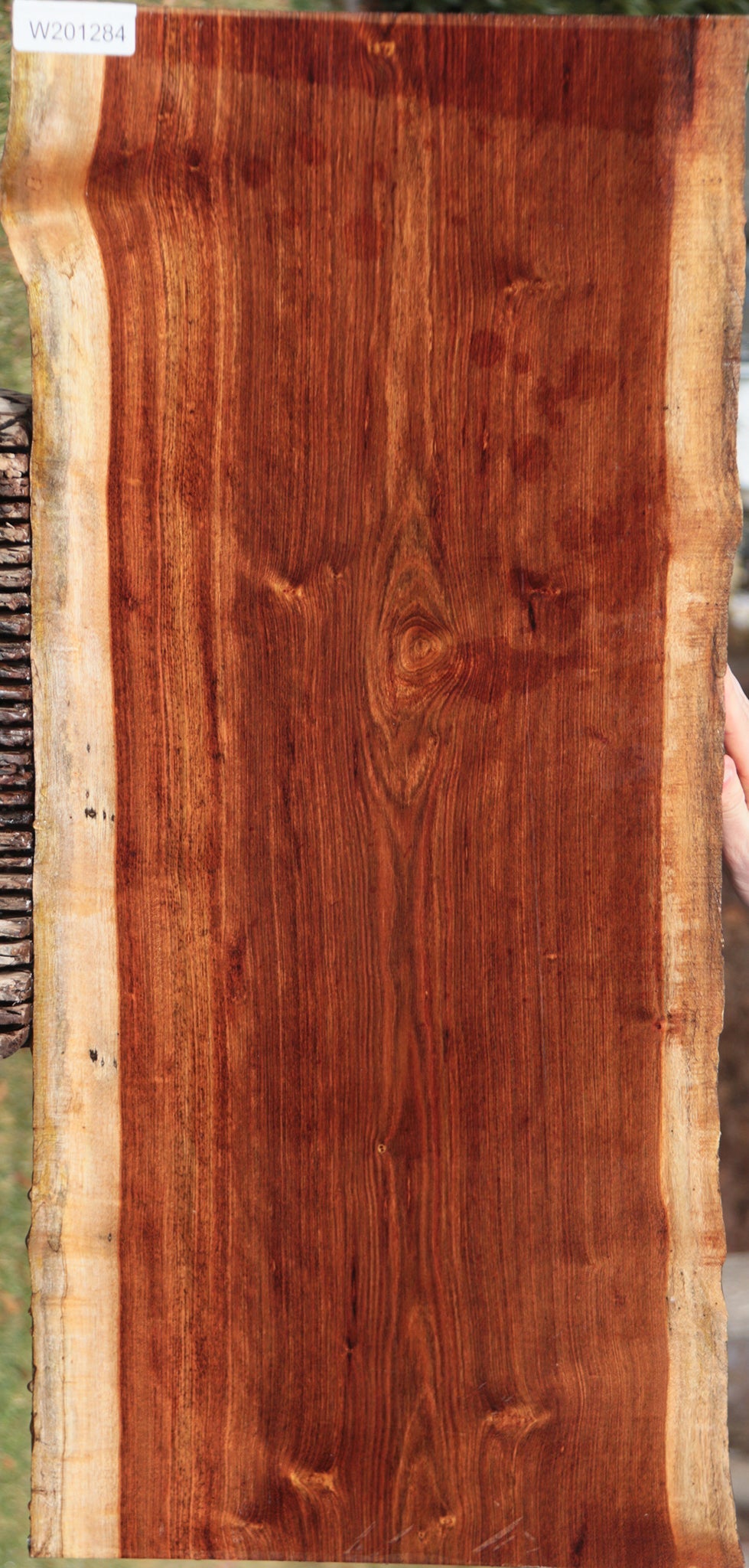 Chechen Live Edge Lumber