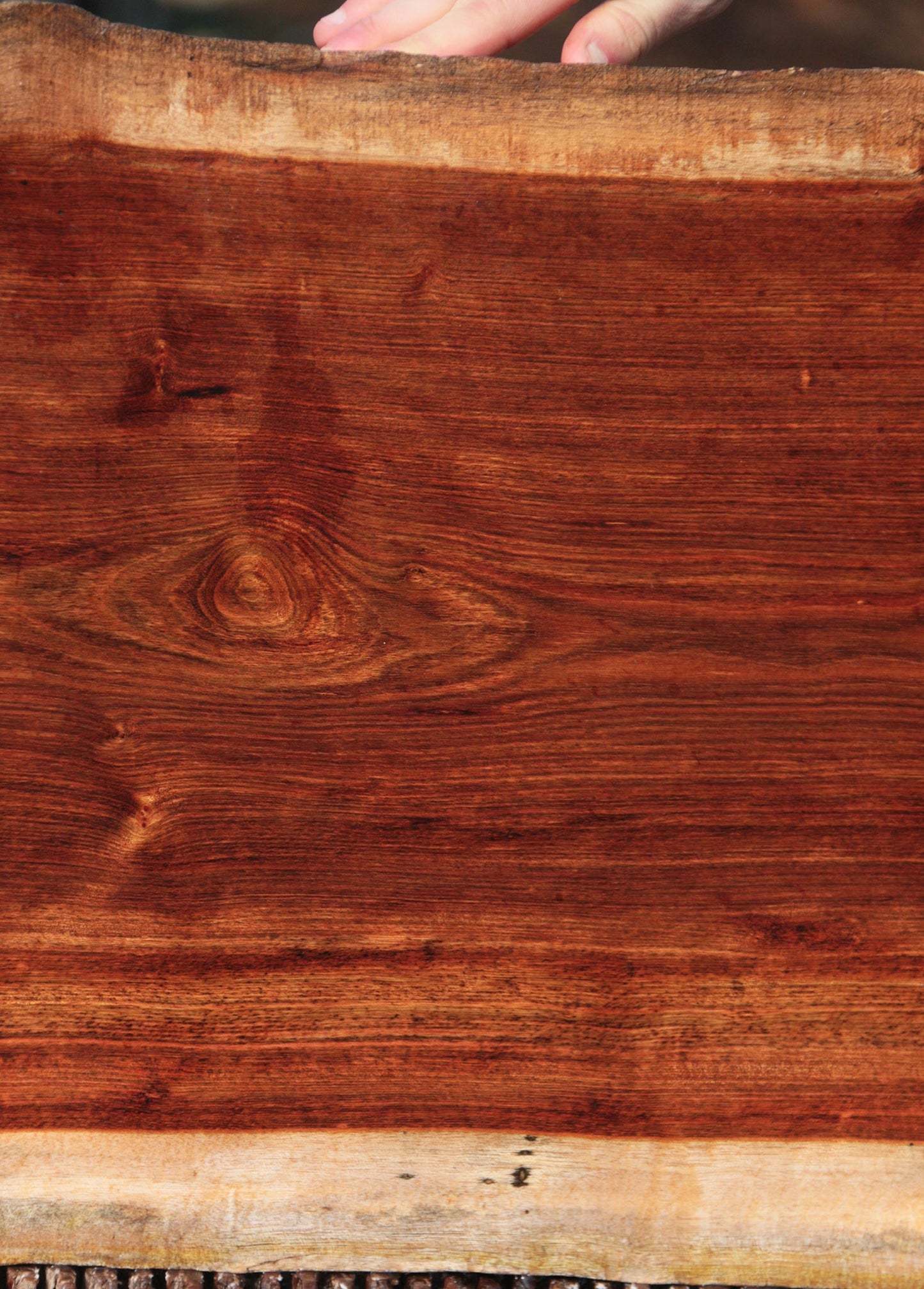 Chechen Live Edge Lumber