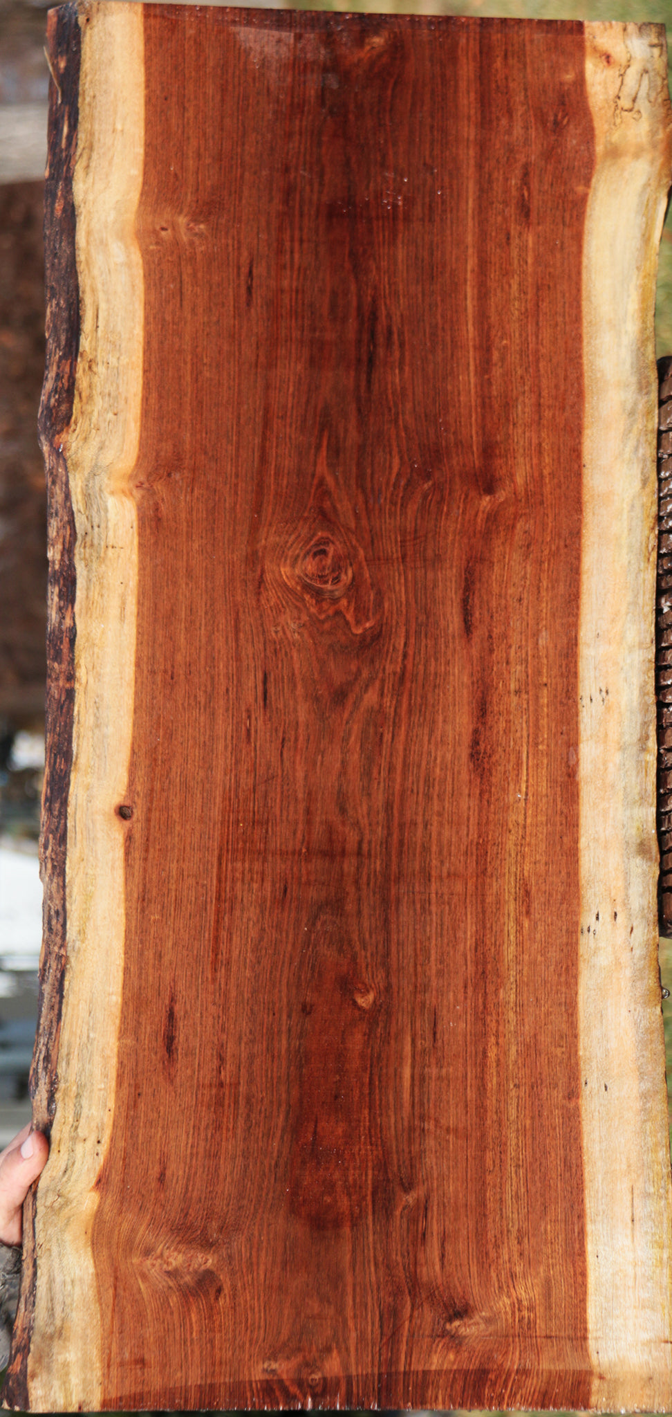 Chechen Live Edge Lumber